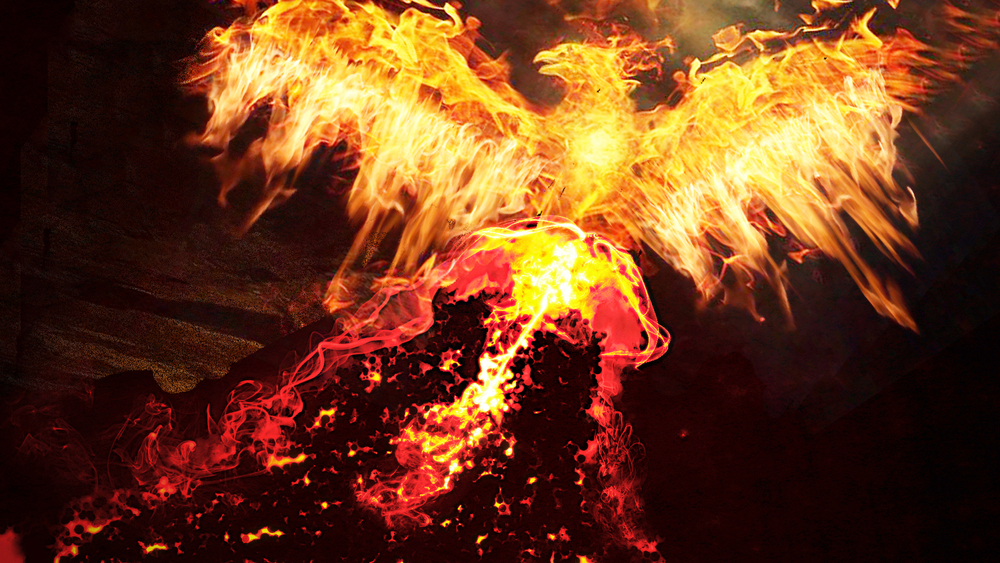 Purpose Witn Rise Out of the Ashes